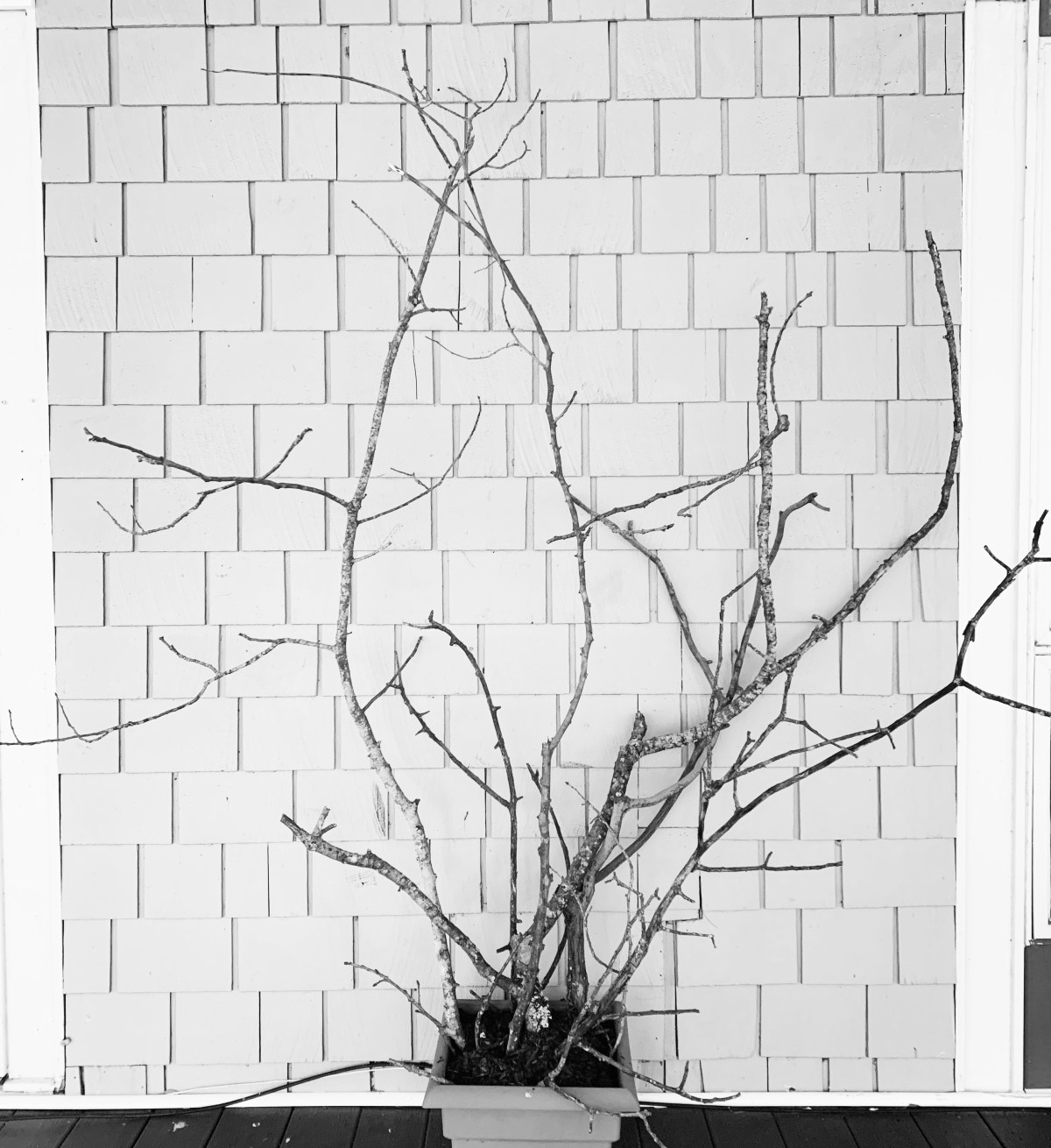 62543986-2F20-46DE-A98E-D7D187347D18