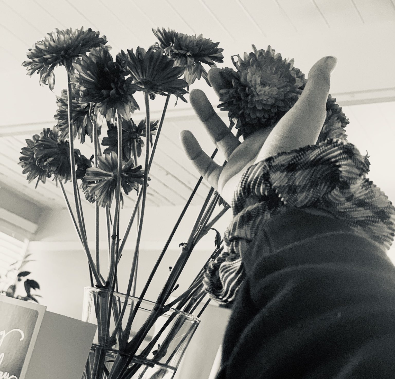 𝑇ℎ𝑒 𝐹𝑖𝑙𝑖𝑝𝑖𝑛𝑜 𝐼𝑛 𝑀𝑒