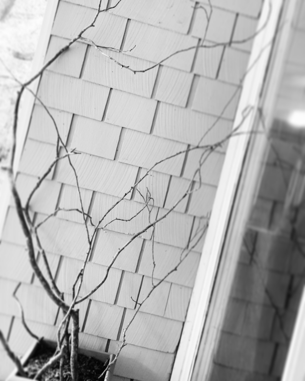 DC0CBB22-F4EA-4182-A802-B2E3CA10783E